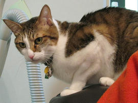 IMG00657.jpg