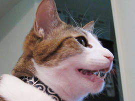 IMG00658.jpg