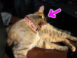 IMG00662.jpg