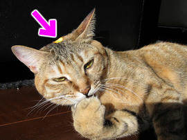 IMG00663.jpg