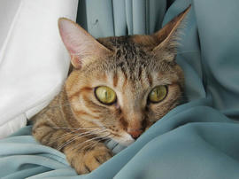 IMG00675.jpg