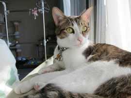 IMG00678.jpg