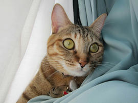 IMG00680.jpg