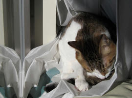 IMG00669.jpg