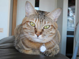IMG00670.jpg