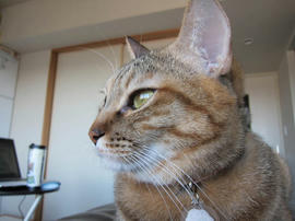IMG00672.jpg
