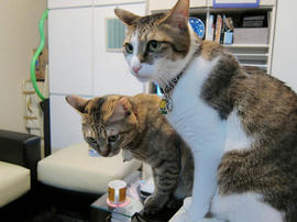 IMG00685.jpg