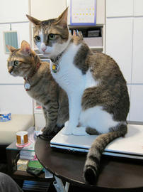 IMG00686.jpg
