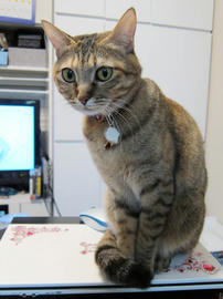 IMG00687.jpg