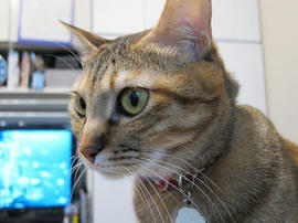 IMG00688.jpg