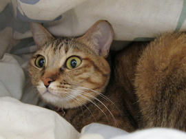 IMG00690.jpg