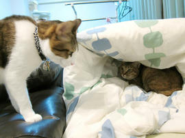 IMG00691.jpg