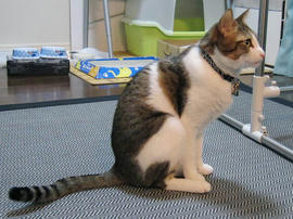 IMG00695.jpg