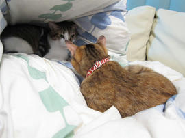IMG00712.jpg
