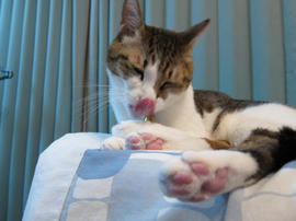 IMG00701.jpg
