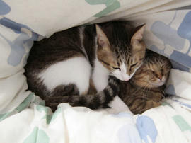 IMG00710.jpg