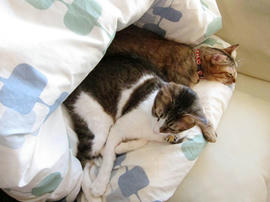 IMG00714.jpg