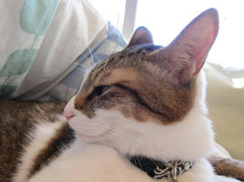 IMG00718.jpg