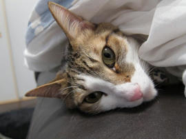 IMG00722.jpg