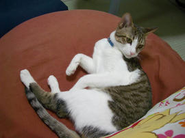 IMGP9590.jpg