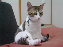 IMGP9620.jpg