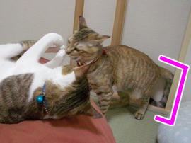 IMGP9634.jpg
