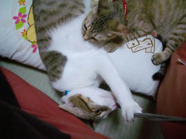 IMGP9657.jpg