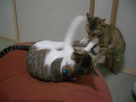 IMGP9633.jpg