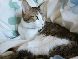 IMG00725.jpg