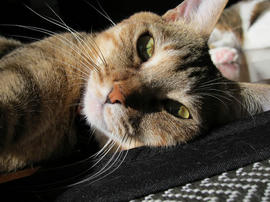 IMG00732.jpg