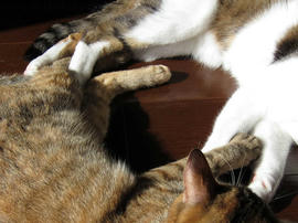 IMG00734.jpg