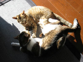 IMG00737.jpg