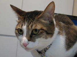 IMG00742.jpg