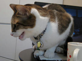 IMG00743.jpg