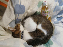 IMG00754.jpg