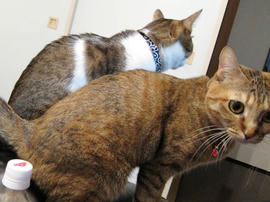 IMG00756.jpg
