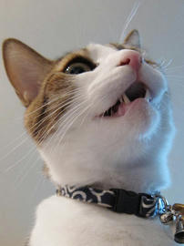 IMG00757.jpg