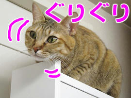 IMG00765.jpg