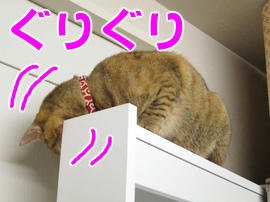 IMG00766.jpg
