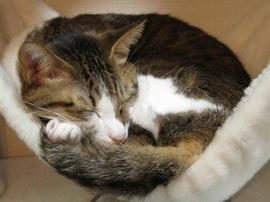 IMG00773.jpg