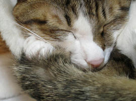 IMG00774.jpg