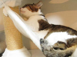 IMG00778.jpg
