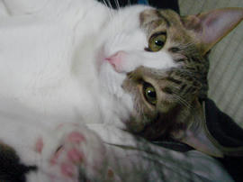 IMGP9742.jpg