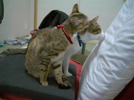 IMGP9753.jpg