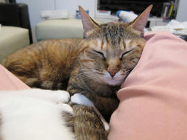 IMG00787.jpg