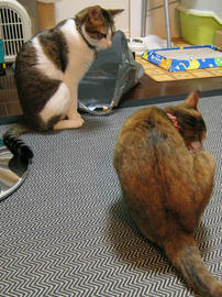 IMG00783.jpg