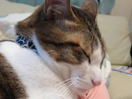 IMG00788.jpg