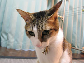 IMG00792.jpg