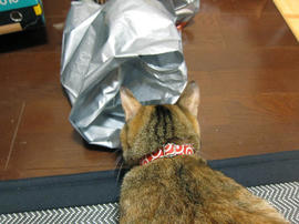 IMG00793.jpg