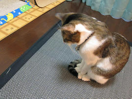 IMG00794.jpg